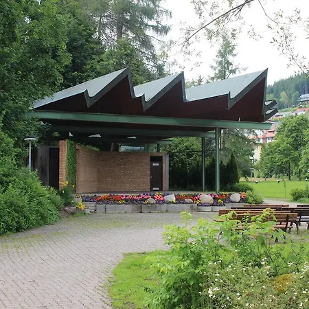 Apartment Kurpark *
