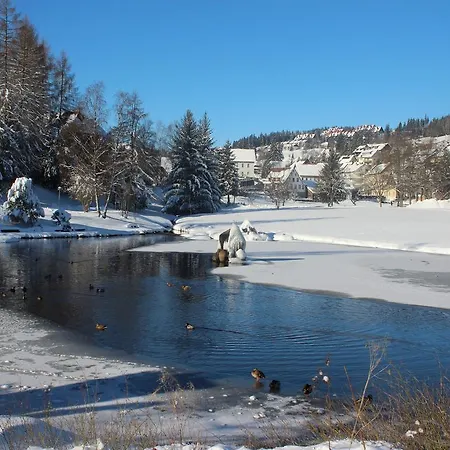 Kurpark Apartment Schonach im Schwarzwald