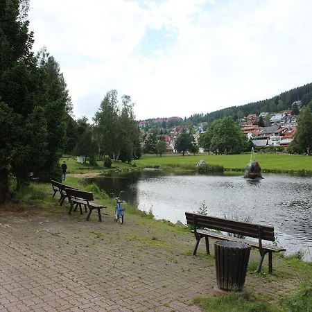 Apartment Kurpark