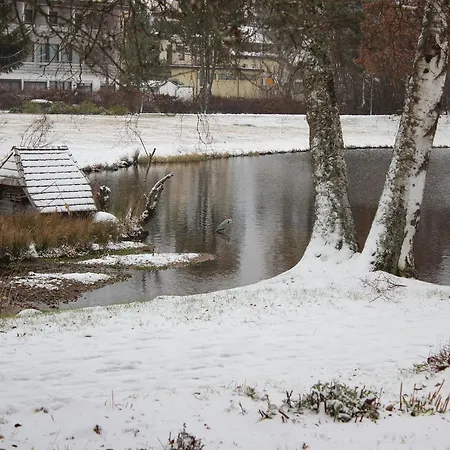 Kurpark Apartment Schonach im Schwarzwald